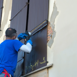 Crépis : optez pour une façade rustique et chaleureuse Neuilly-Plaisance